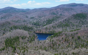 8141b23d800b5cc0eb0f058ff137e5b1-uncropped scaled within 1344 1008.png