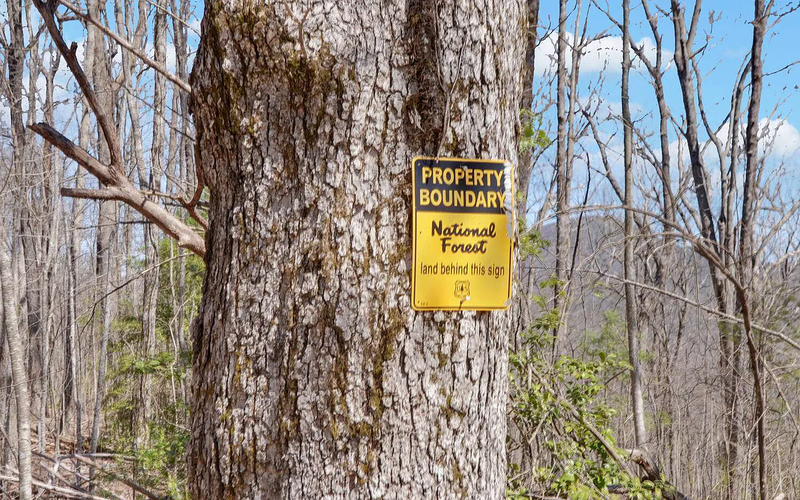 File:39a14882ce88698c2e6866212dccfe9b-uncropped scaled within 1344 1008.png